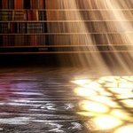 Blockchain believer seeking innovation and growth 🔗 #CryptoInvestor