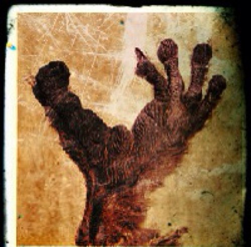 monkeythumbs1's profile picture. Welcome to the Monkey Thumbs Emporium of Curiosities-Purveyor of Steampunk & Neo-Victorian Couture,Costumerie, Decor & Curiosities to fuel the imagination.