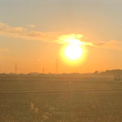 ma100764's profile picture. 高校卒業済み26歳のおデブ男性です🐷 セフレも募集してるんだ！！来ないと思うけどね