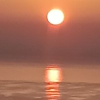 M S (@lux4vox) Twitter profile photo