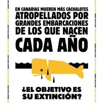Cuenta oficial de Twitter del grupo de voluntariado de Greenpeace en Canarias. 🌈¡Porque juntos somos imparables!🌍