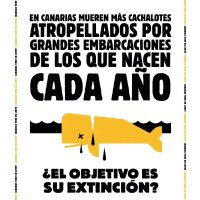 Greenpeace Canarias(@Greenpeacanaria) 's Twitter Profile Photo