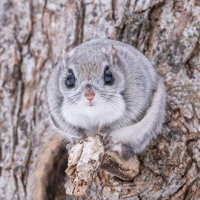 北海道道東で写真・タイムラプス・4K動画など撮影してます📸 カメラ→EOSR6 or EOSR5 YouTube動画アップしてます↓↓↓