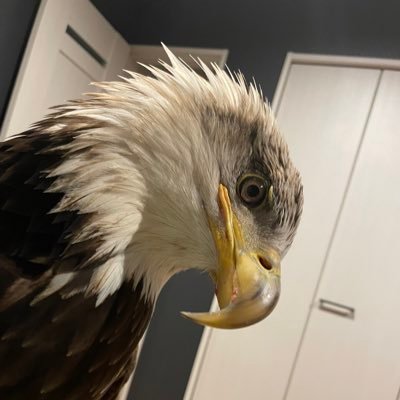 Ta01830715's profile picture. 趣味しか勝たん🤣👍🏿💯
