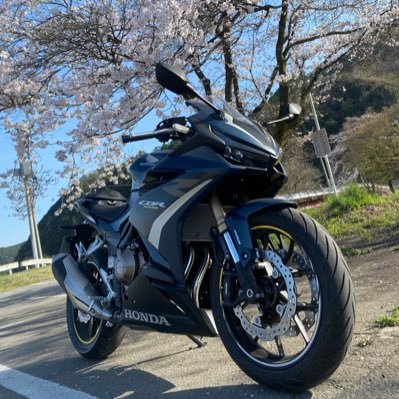 ロードバイク🚴‍♂️LAPIERREXELIUS🚵‍♂️ バイク🏍️CBR400R🛵 Cat🐈ミヌエット😺