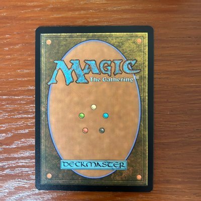 terymtg's profile picture. 