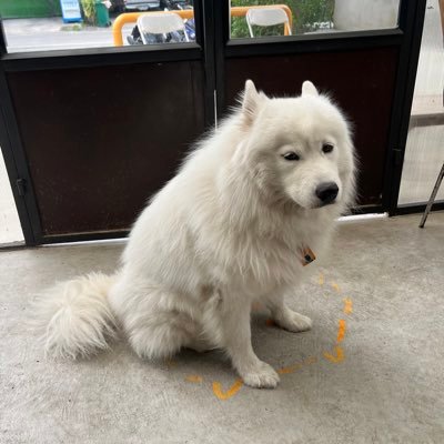 Momopapa230046's profile picture. 