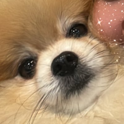 mmaywa_'s profile picture. ⌗☁️