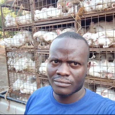 MulokaFarms's profile picture. When You Think About Chicken, Think About Muloka