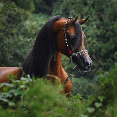 RWAD200's profile picture. 