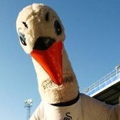 cyrilbreakheart's profile picture. UppaSwans
