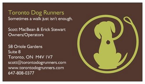 Let's be realistic, not all dogs can expend all their energy on a brisk walk or with a bit of play in a park.  We're taking dog walking up a notch!!