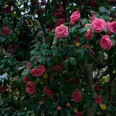 J66815590's profile picture. kyk♥️