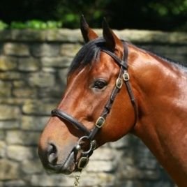 AMERICAN PHAROAH, 2015 Winner TRIPLE CROWN. Sired by Pioneer of the Nile.
Life size Servicemen going to war as depicted on freize of Statue at ANC, now removed.