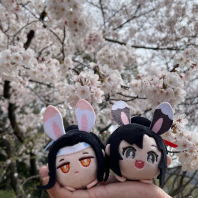 しゅがーさんのプロフィール画像