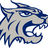 BlueAthletics's profile image