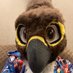 ApexFalcc (@apexfalcc) Twitter profile photo ApexFalcc (@apexfalcc) Twitter profile photo