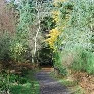 MHSForestSchool (@mhsforsch) 's Twitter Profile Photo MHSForestSchool (@mhsforsch) 's Twitter Profile Photo