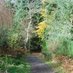 MHSForestSchool (@mhsforsch) Twitter profile photo MHSForestSchool (@mhsforsch) Twitter profile photo