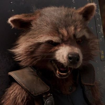 letting my gang know i fw Rocket Raccoon