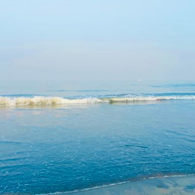 singhjyotsna1's profile picture. 