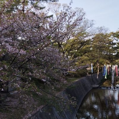 kinaka5000's profile picture. 主に関西の鉄道を撮ったり乗ったりをしています。下手な写真ですが宜しくお願いします
エロ垢はブロックします。
たまに良く見てる配信者のLIVEのツイートします。