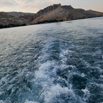 GokhanSekeroglu's profile picture. 