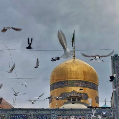 وأعلم أنّ الإمام الذي أنت مُتعلِّق به وتحبه كثيرًا لم تخترهُ أنت , بل هو الذي إختارك مُحِبًا له💛