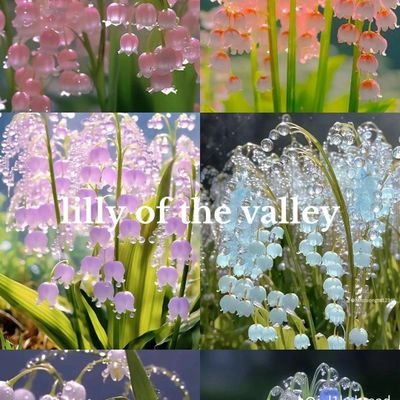 lily of the valley has much significance beyond the United Kingdom. It's actually the national flower of Finland, and in France, on 1st May for La Fête du Mugue