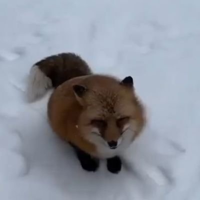 Whosktsr's profile picture. somewhere in heaven
https://t.co/nweJEV7thZ