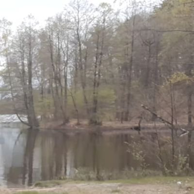 Razem przeciwko wszechobecnej obłudzie! Ujawniam fakty o grupach destrukcyjnych.