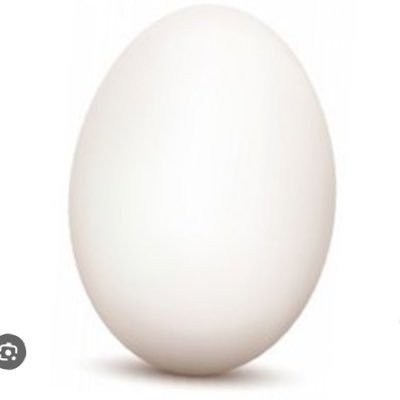 Egg