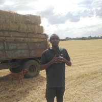 Engineer Flexxtheman (@engflexxtheman) 's Twitter Profile