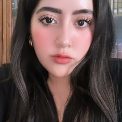 Relaciones Internacionales/BUAP | Derecho/UNAM. Artista y fan de lo electoral y legislativo #Lionpower🦁 Instagram:@macarenafierroo