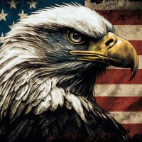 Patriotic American(@firemedic724) 's Twitter Profile Photo