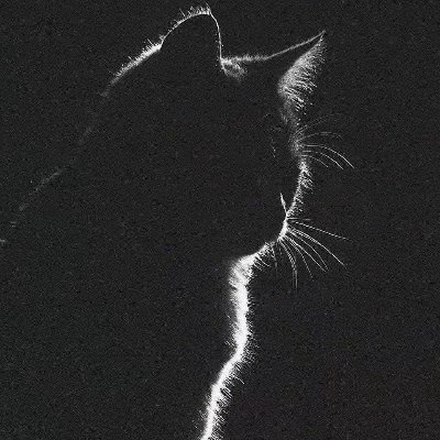 可不可以别不理人😿                       男的别来