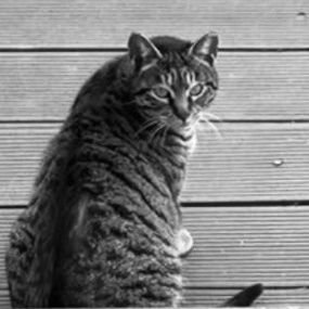 yusa_is_sue's profile picture. 95line／ISFJ／IS:SUE／౨ৎREBORN／MINI見習い／