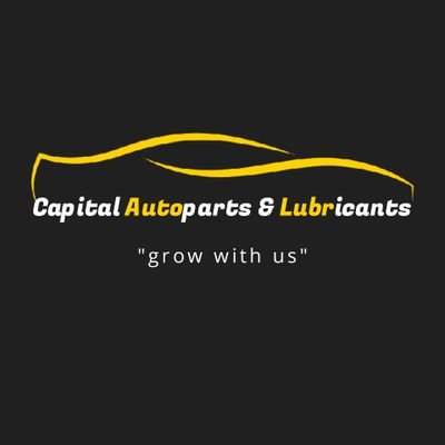 Capital Autoparts (T) ltd