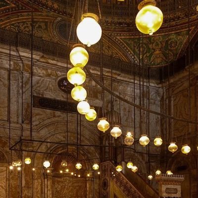 ansamash's profile picture. 