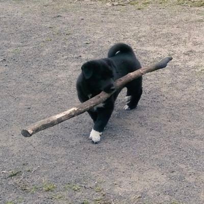 희수さんのプロフィール画像
