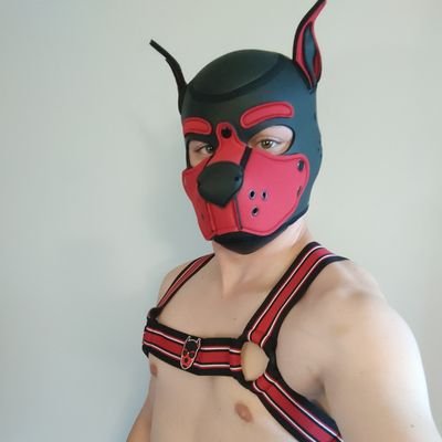 Oklahoma Dom Pup looking to meet and greet interesting people and pups. New to the pup community.