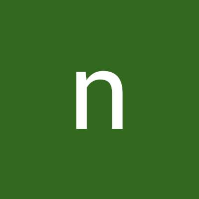 nik812192711591's profile picture. 