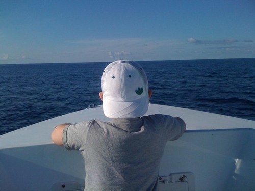 pturlick's profile picture. 