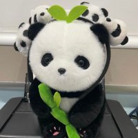 【皐】ぱんどぅǃǃ (@in_pandwu) 's Twitter Profile