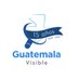 Guatemala Visible (@guatevisible) Twitter profile photo