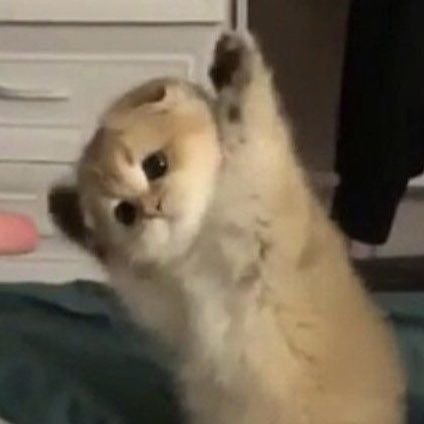 Napapat62's profile picture. 