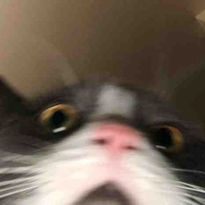 moranhubby's profile picture. personal acc, love bl and gl things 🏳️‍🌈 a danmeist and shipper 🌱