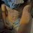 Shyboyiee's profile image