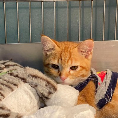 druig1s's profile picture. druig | #popperbate | #slave | #bator | #cumcontrol | #edging |#cumcollection | person support needed