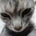 mathirrgg (@mathirr1) Twitter profile photo mathirrgg (@mathirr1) Twitter profile photo